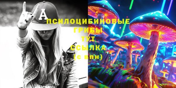 молекула духа Армянск