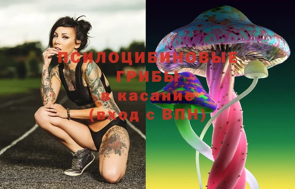 кокс Сосновый Бор