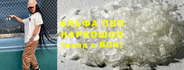 кокс Сосновый Бор